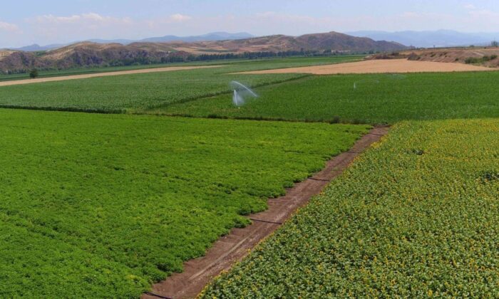 DSİ, Amasya’nın verimli topraklarına bereket katıyor