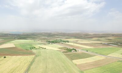 DSİ Genel Müdürü Yıldız,’ “Elazığ’da 185 bin 900 dekar tarım arazisi sulanacak”