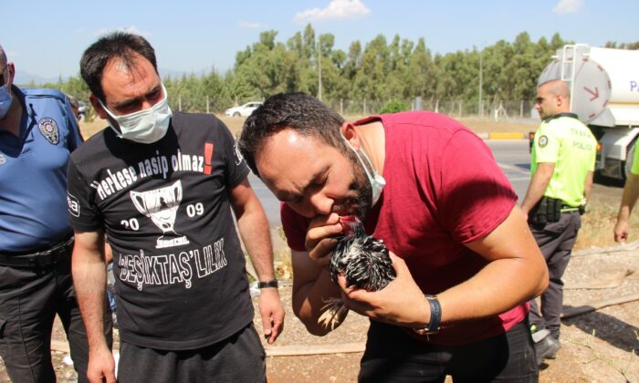 Dumandan etkilenen hayvanlara polis ve vatandaştan ilkyardım