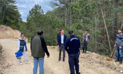 Dumlupınar’da ormanlık alanlarda yangın yolu açılması çalışmaları