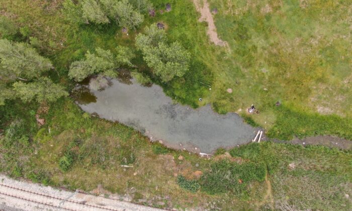 Dünyada tekti, ikizi çıktı