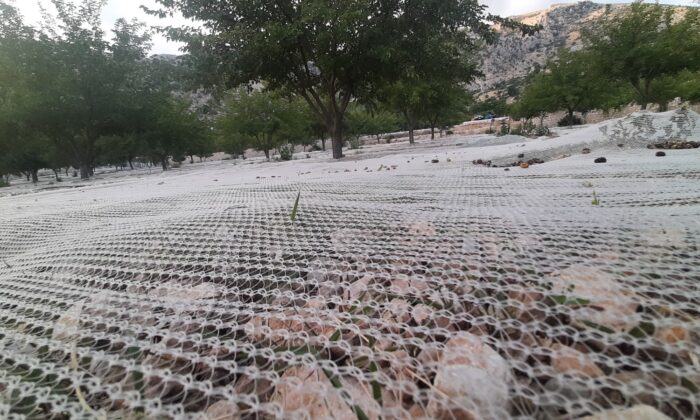 Dut bahçeleri rengarenk