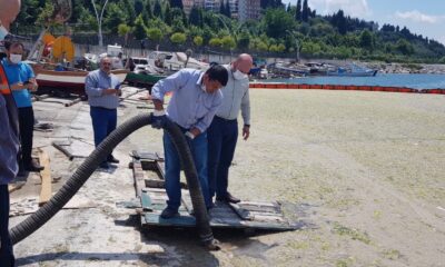 Düzce Belediyesi Marmara Denizi’nde musilaj temizliği yaptı