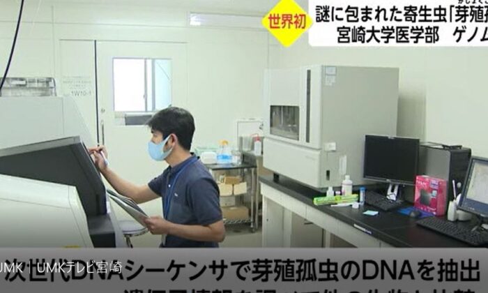 Düzce Üniversitesi öğretim üyesinden uluslararası çalışma