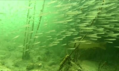 Efsanelere konu olan göl koruma altına alındı