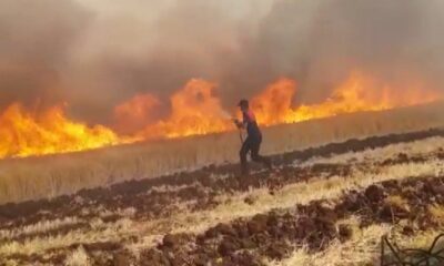 Ekili alan yangınları arttı, itfaiye müdürü uyardı