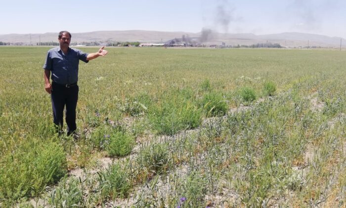 Ekili araziler susuzluktan çatladı