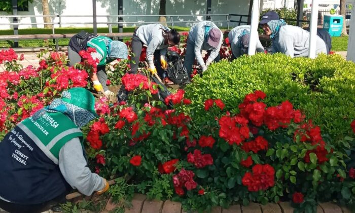 Ekipler daha yeşil bir Süleymanpaşa için çalışıyor