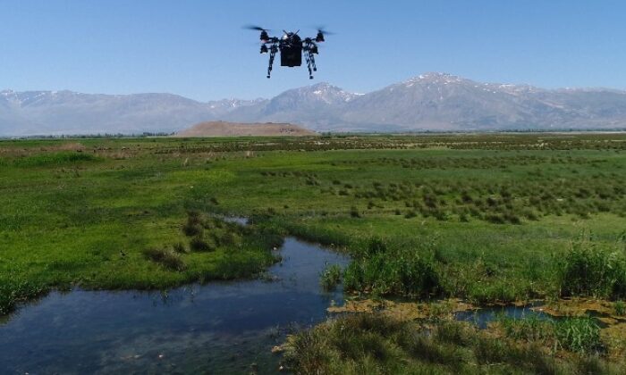 Ekşisu Mesire Alanı çevresi drone ile ilaçlanıyor