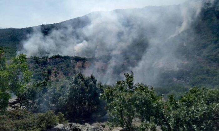 Elazığ-Diyarbakır arasında orman yangını söndürme çalışmaları sürüyor