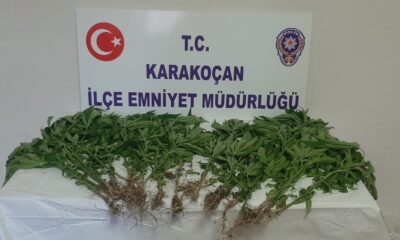 Elazığ’da uyuşturucu ile mücadele : 1 gözaltı