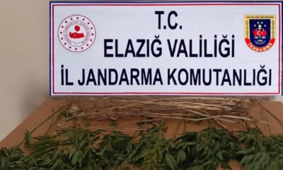 Elazığ’da uyuşturucuyla mücadele çalışması