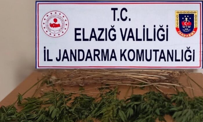 Elazığ’da uyuşturucuyla mücadele çalışması