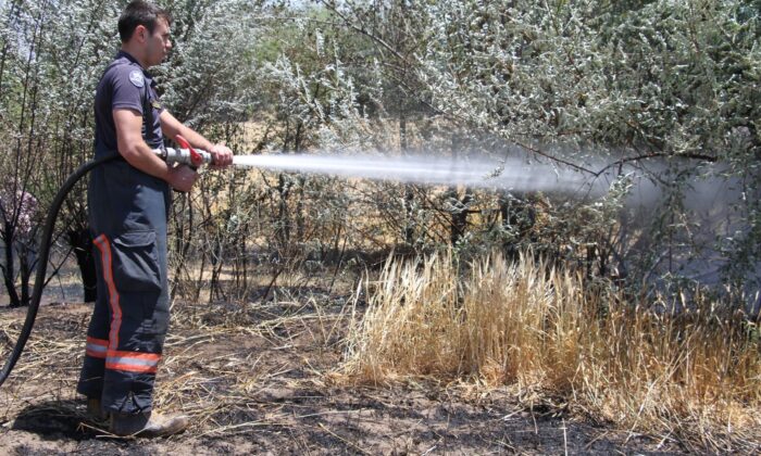 Elazığ’da yangın: 12 dönüm ekili alan kül oldu