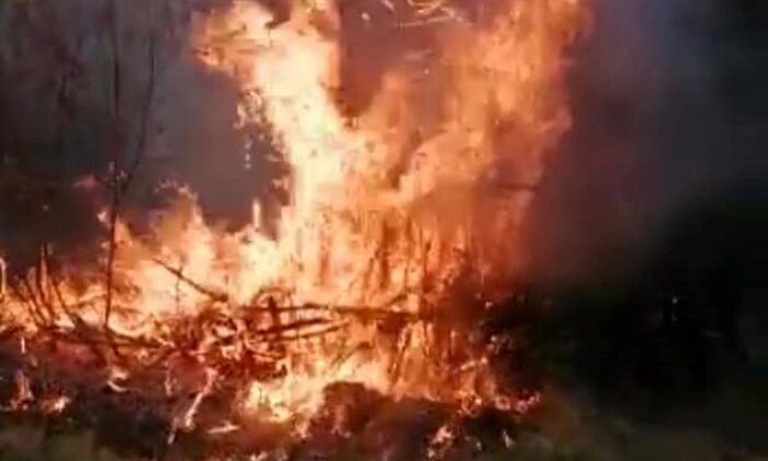 Elazığ’da yangın: 4 bahçe zarar gördü