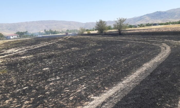 Elazığ’da yangın,arpa ekili arazi kül oldu