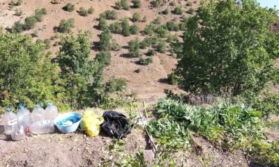 Elazığ’da zehir tacirlerine operasyon, 17 kilo esrar ele geçirildi
