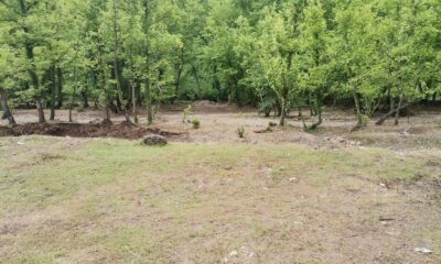 Elele verip, pırıl pırıl yaptılar