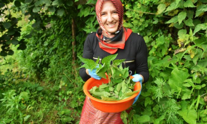 Elleri yana yana para kazanıyor