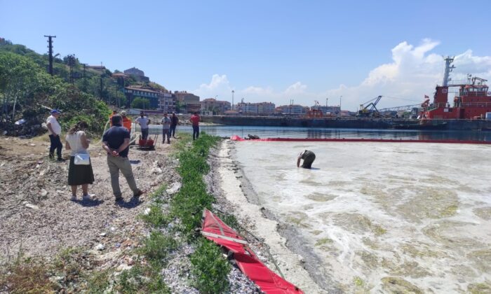 En özenli müsilaj temizliği