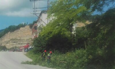 Enerji hatlarını engelleyen ağaçlarda budama çalışması yapılıyor