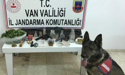 Erciş’te uyuşturucu operasyonu