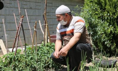 Ereğli Belediyesi tarafından dağıtılan fideler mahsullerini başladı