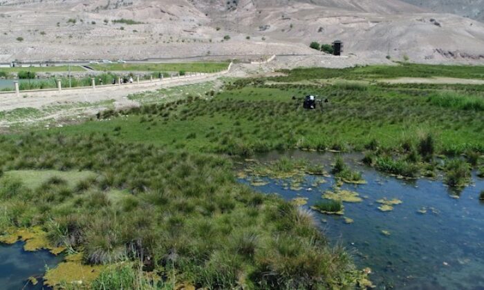 Erzincan’da sulak alanlar havadan ilaçlandı