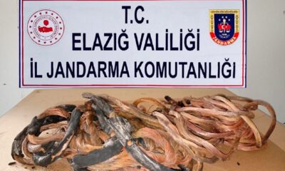 Erzurum’da çaldılar Elazığ’da yakalandılar