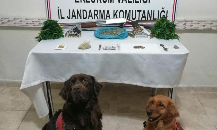 Erzurum’da hayvan hırsızlığı ve uyuşturucu operasyonu: 6 tutuklu