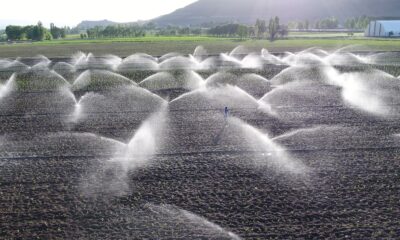 Erzurum’da sulama sezonu başladı