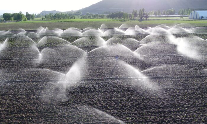 Erzurum’da sulama sezonu başladı