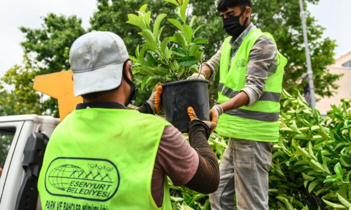 Esenyurt Doğan Araslı Bulvarı’nın çehresi değişiyor