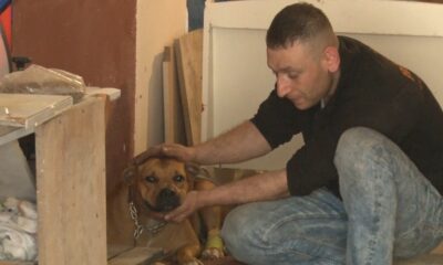 Esenyurt’ta köpeğe pompalı tüfekli saldırı anı kamerada