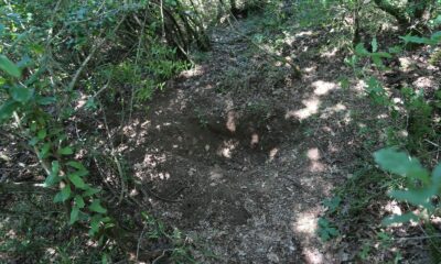 Eşinin yeğeni tarafından öldürülen kadının gömüldüğü yer görüntülendi