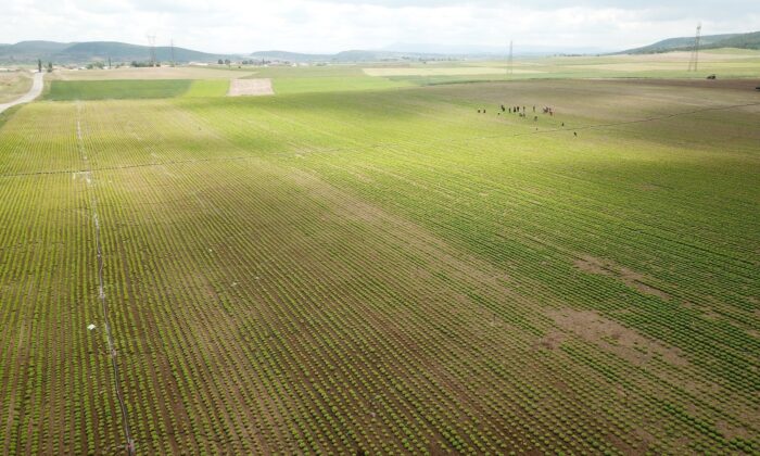 Eskişehir’de bu sulama sezonunda ekonomiye 900 milyon 250 bin liralık katkı hedefleniyor