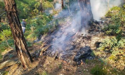 Eskişehir’de ormana düşen yıldırım yangına neden oldu