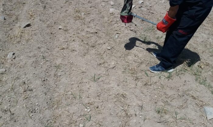 Ev sahiplerine korku yaşatan yılanı itfaiye ekipleri yakaladı