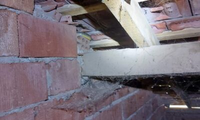 Eve giren yılanı itfaiye yakaladı