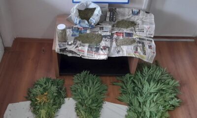 Evin bahçesinde 110 kök kenevir yetiştirdiler