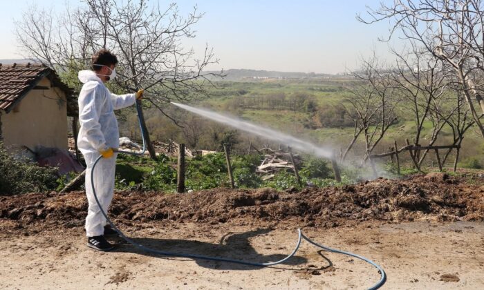 Eyüpsultan’da haşere ilaçlamaları devam ediyor