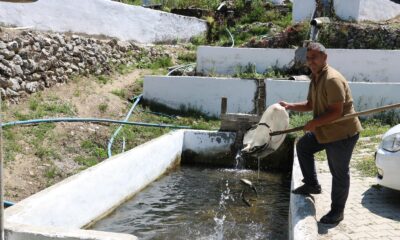 Fabrika işçisiydi kendi balık üretim tesisini kurdu