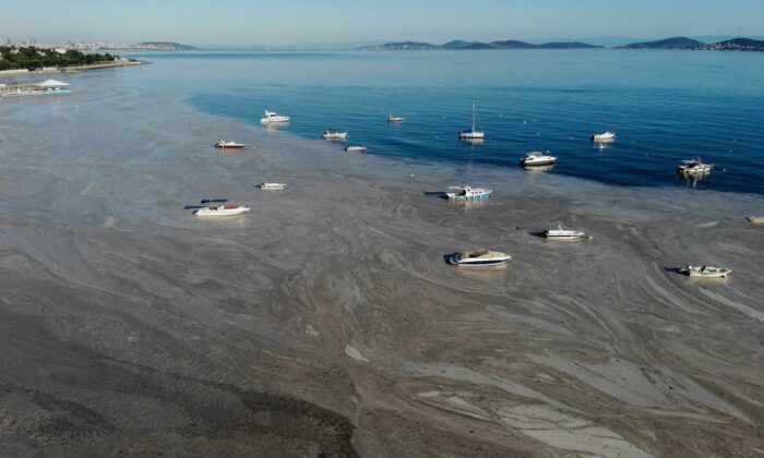 Felaketin son hali havadan görüntülendi