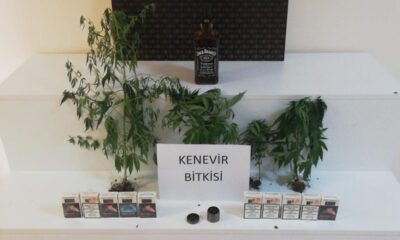 Fethiye’de tefecilik operasyonu: 3 gözaltı