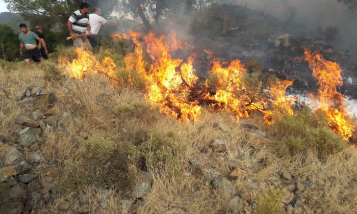 Fethiye’deki orman yangını büyümeden söndürüldü