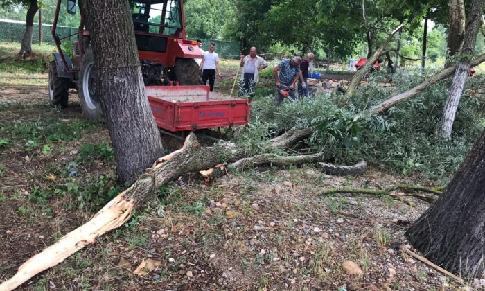 Fırtına ağaçları devirdi, enerji nakil hatları kopunca yangın çıktı
