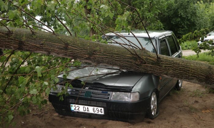 Fırtına sebebiyle ağaçlar araçların üzerine devrildi, yollar kapandı