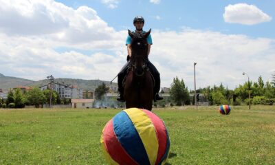 Futbolcuları aratmayan at