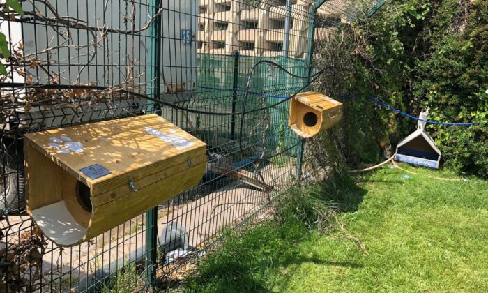 Gazi Üniversitesi öğrencilerinden can dostlara yuva