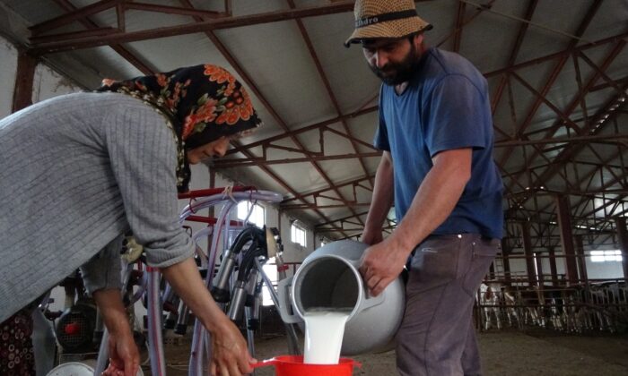 Genç çiftin hayali devlet desteğiyle gerçekleşti